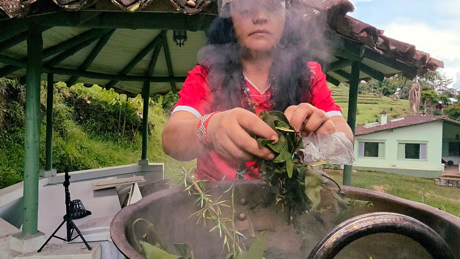 Andrea Díaz preparing leaves for a traditional plant bath